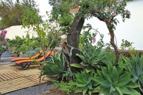 La-Pergola-06