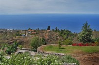 Villa-Buena-Vista-15