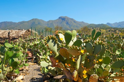 casita-nieves-ferienhaus-el-paso-26