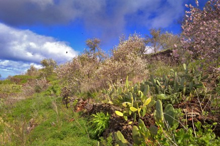 paisaje