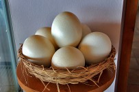 restaurante-la-muralla-mirador-aguatavar-tijarafe-la-palma-avestruz-huevos