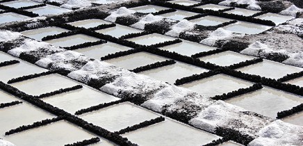 salinas-de-fuencaliente-meer-salz-la-palma-organic-sea-salt