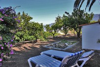 Finca-Alcala-Almendra-03
