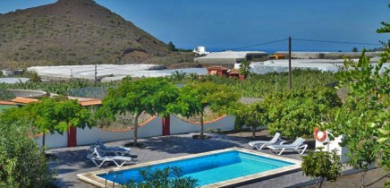 Las-Flores-05