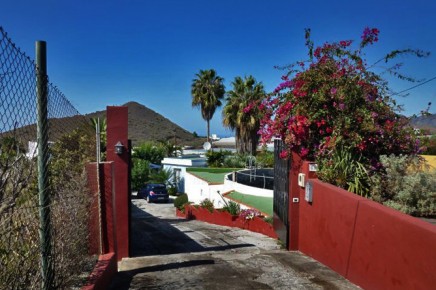 Las-Flores-06