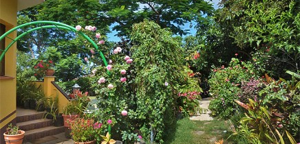 Rosa-02