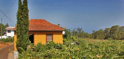 casa_federico_13