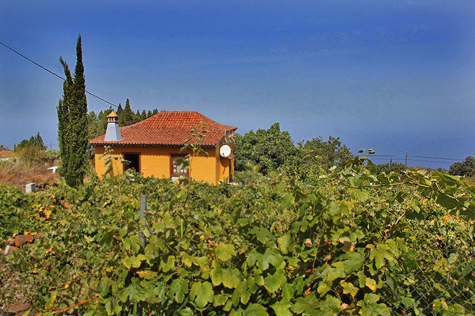 Private country house Casa Federico Puntagorda 2 bedrooms - west side, La Palma Canaries Accommodation