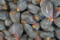 agromercado-brena-alta-brevas-feigen