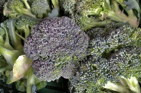 agromercado-brena-alta-broccoli