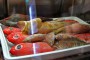 kiosco-teneguia-restaurante-puerto-de-tazacorte-la-palma-pescado