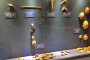 museo-arqueologico-los-llanos-la-palma-mab-museum-ureinwohner-guanche-benahoarita-17-muscheln-knochen-werkzeug