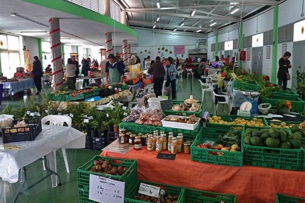 puntallana-mercado-municipal-markt-halle