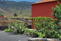 museo-del-vino-palmero-wein-museum-las-manchas-la-palma06