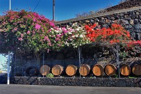 las-machas-wein-museum-bodega-tamanca-faesser-la-palma