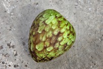 cherimoya-annona-cherimola-anone-rahmapfel-la-palma-frucht