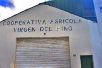 mandeln-almendras-prunus-dulcis-cooperativa-virgen-del-pino-puntagorda-kooperative