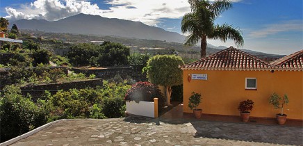 las_papayeras_09