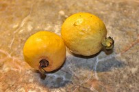 guayaba-echte-guave-psidium-guajava-fruechte-ganz