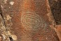 conjunto-arqueologico-etnografico-buracas-las-tricias-garafia-steinzeichen-petroglyphe
