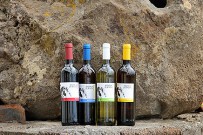 bodegas-perdomo-piedra-jurada-vino-la-palma-briestas-stein