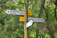 Wandern und La Palma