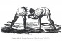 lucha-canaria-la-palma-los-llanos-camillo-leon-agarrada-la-aurora-1847