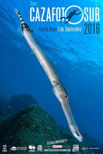 cazafoto-sub-puerto-naos-2016-festival-del-mar