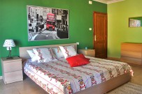 casa_salamandra_16