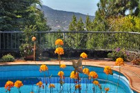 villa-torres-ferienhaus-pool-38