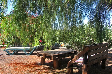 casa_elena_06
