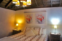 casa_elena_16