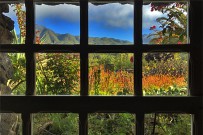 casa_las_tortugas_13