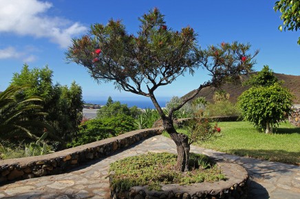 Finca_El_Moral_Garten