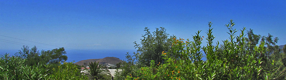 Ferienhaus, Ferienwohnung, Finca - La Laguna - La Palma