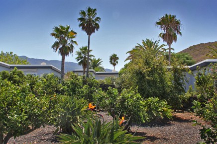 Finca_Sueño_la_Palma_Garten