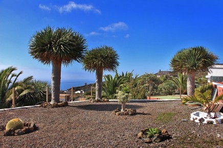 Los_Draguitos_Garten