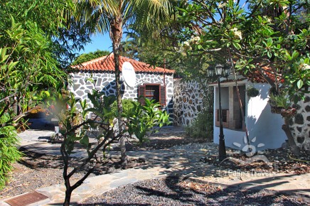 Garten - La Palma Ferienhaus mit Meerblick - Casa Mavi - La Punta, Tijarafe