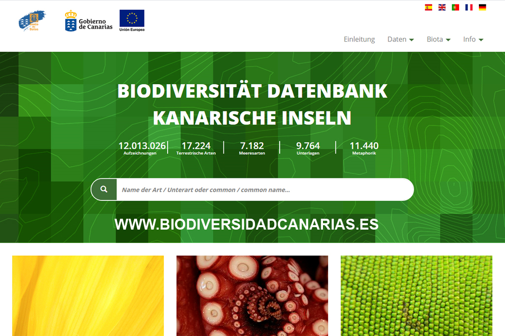 biota-biodiversidad-canarias