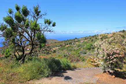 Casa Almendro es un encantador alojamiento en La Palma para dos personas rodeada de naturaleza.