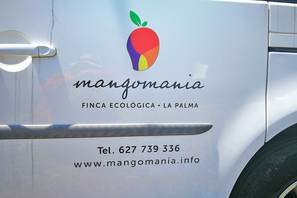 mangomania-san-simon-logo