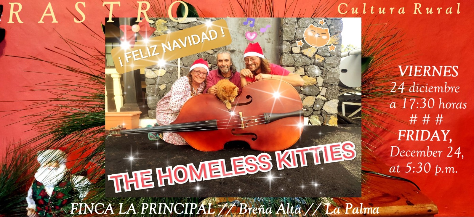 24-12-2021-homeless-kittiers-finca-principal