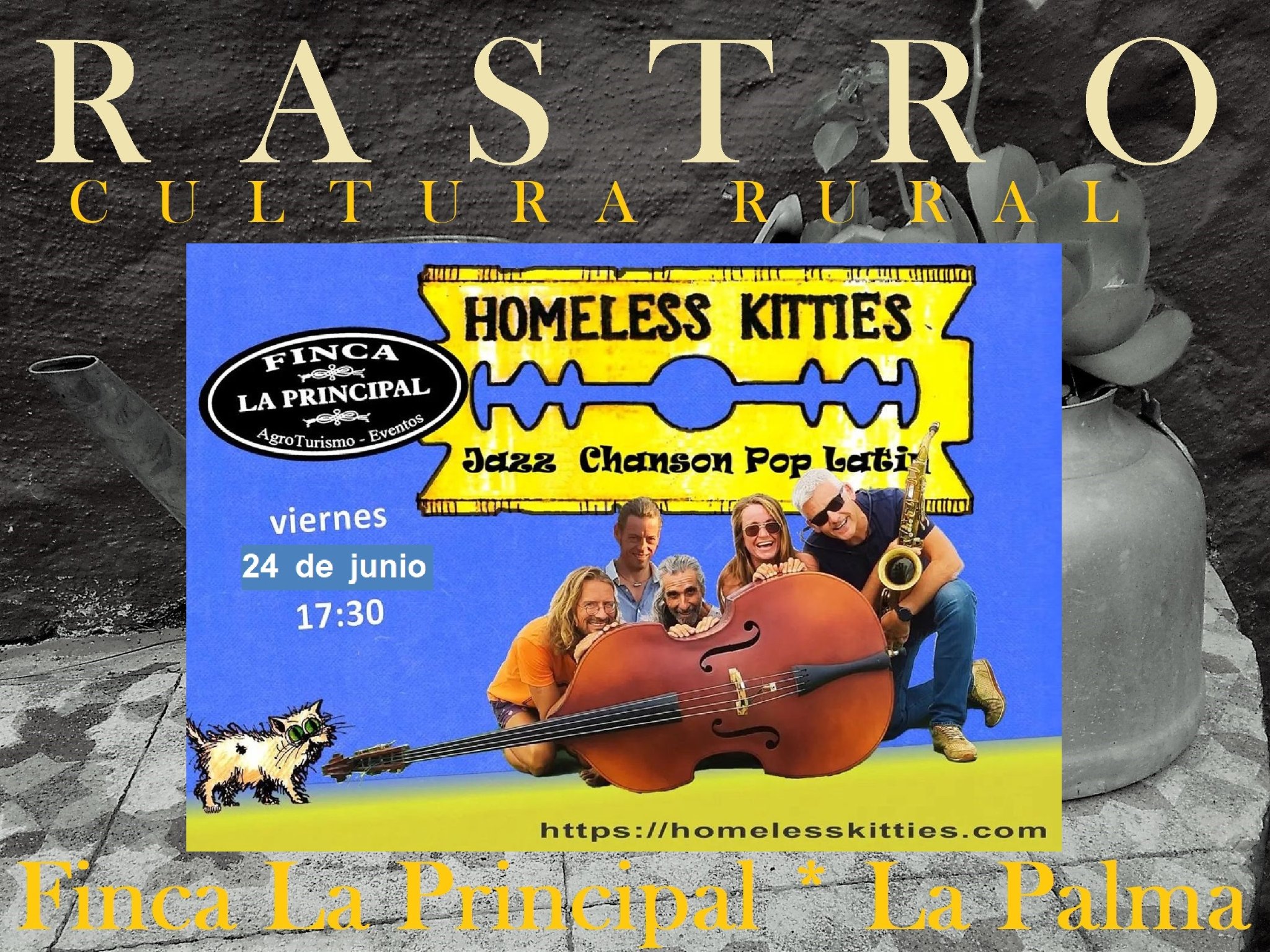 24-06-2022-homeless-kitties-finca-pricipal