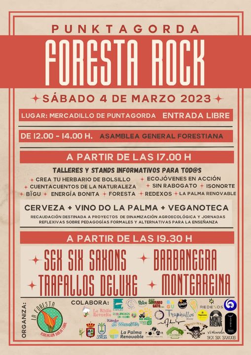 04-02-2023-forest-rock-puntagorda