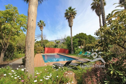 Grosser Swimming Pool und Palmen-Garten - La Palma Unterkunft