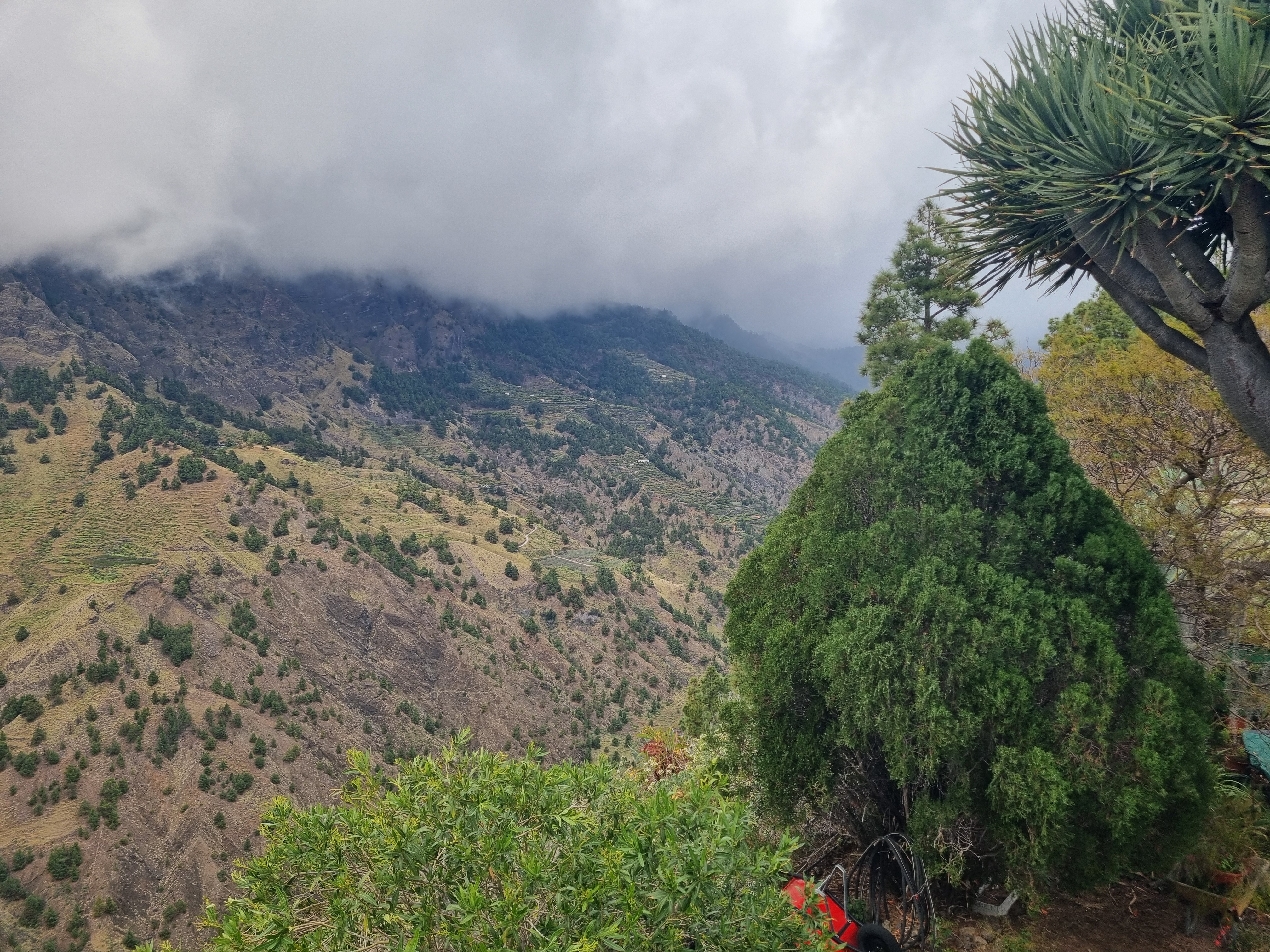 La Palma - Wetterwarnung : Sturm, Regen und hoher Wellengang erwartet - La Palma Travel