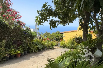 Casa_Rosa_03