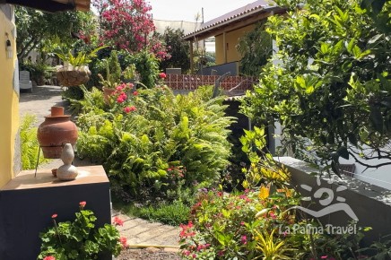 Casa_Rosa_07